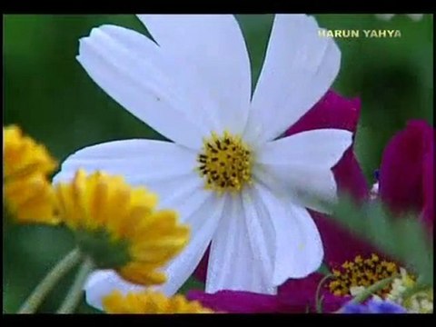 Allahin isimleri Zulcelali vel ikram