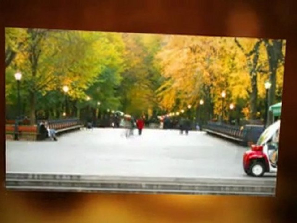 International Hostel as a Cheap and Sociable Accommodation