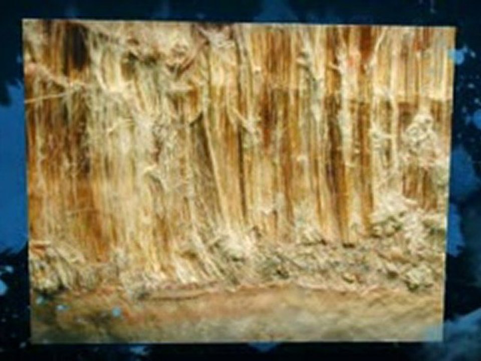 Asbestos Testing Weslaco