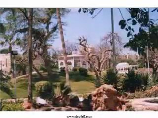 عايده الأيوبى - على بالى