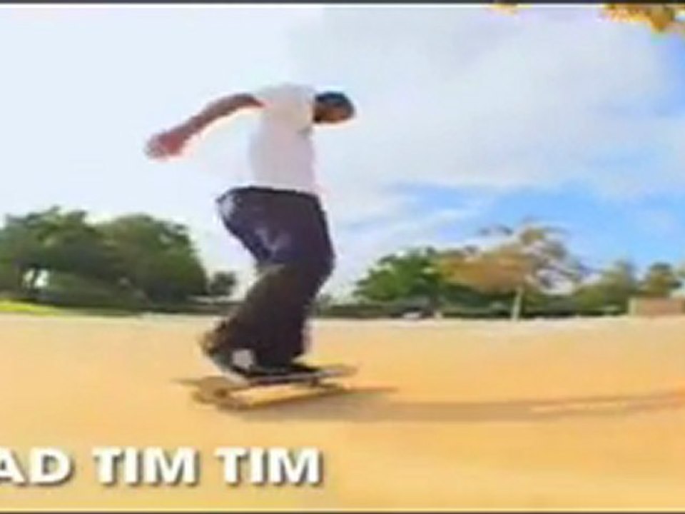 Element Skateboarding | Element Skateboards