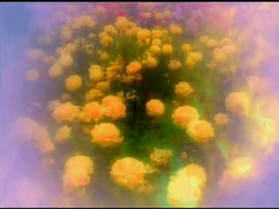 Celaleddin Ada -  Sana Geldim | islamseli.net