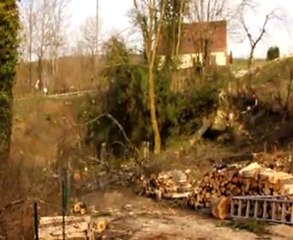 Abattage arbre Fontaine Saint-Hilaire