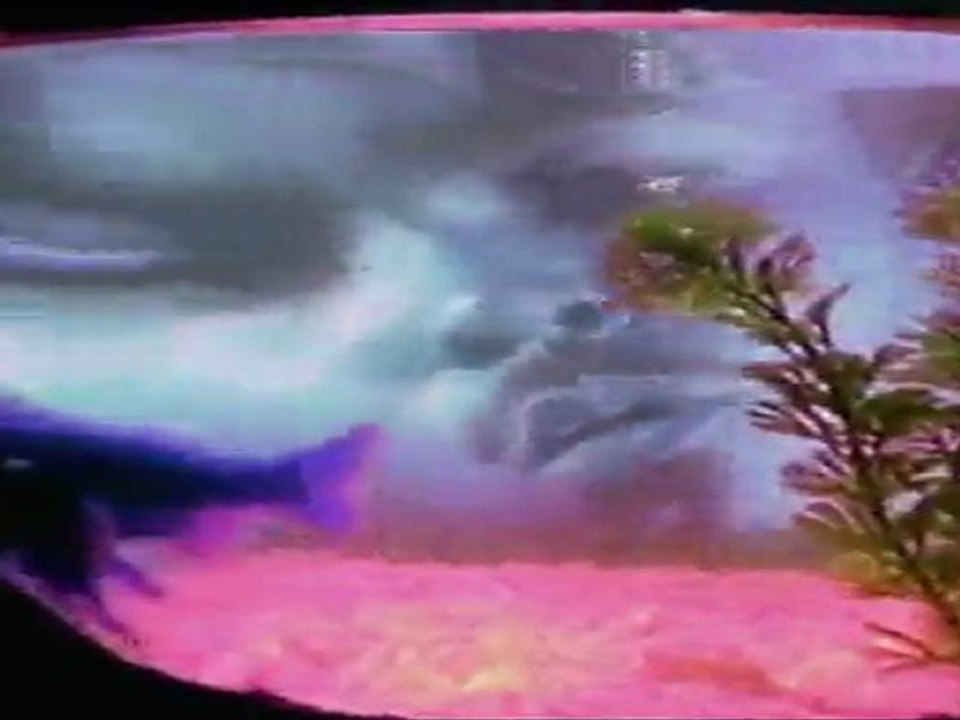 The Alkoholiks feat. ODB - Hip Hop Drunkies