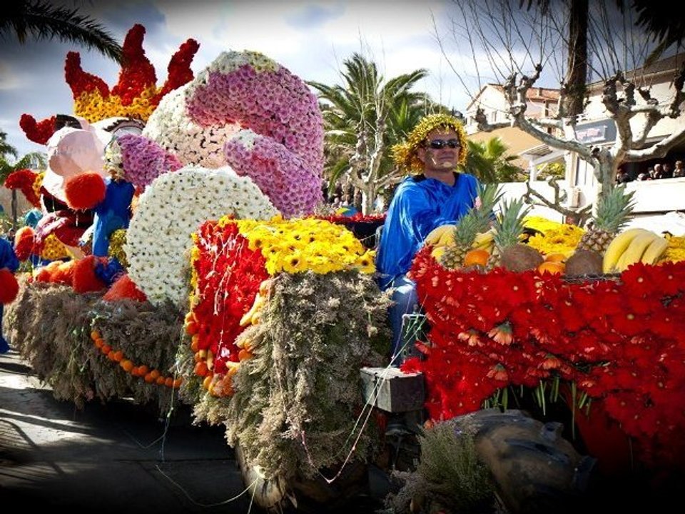 Corso Fleuri Lavandou 2011 - Diaporama