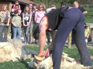 ARTS ET METIERS 2011 au Château de Bouthéon