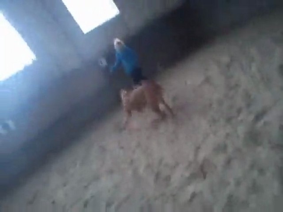 Hutch in der kleinen Halle (;