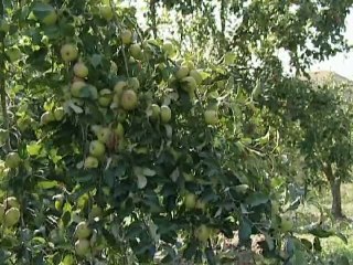 Conservatoire végétal régional d’Aquitaine à Montesquieu