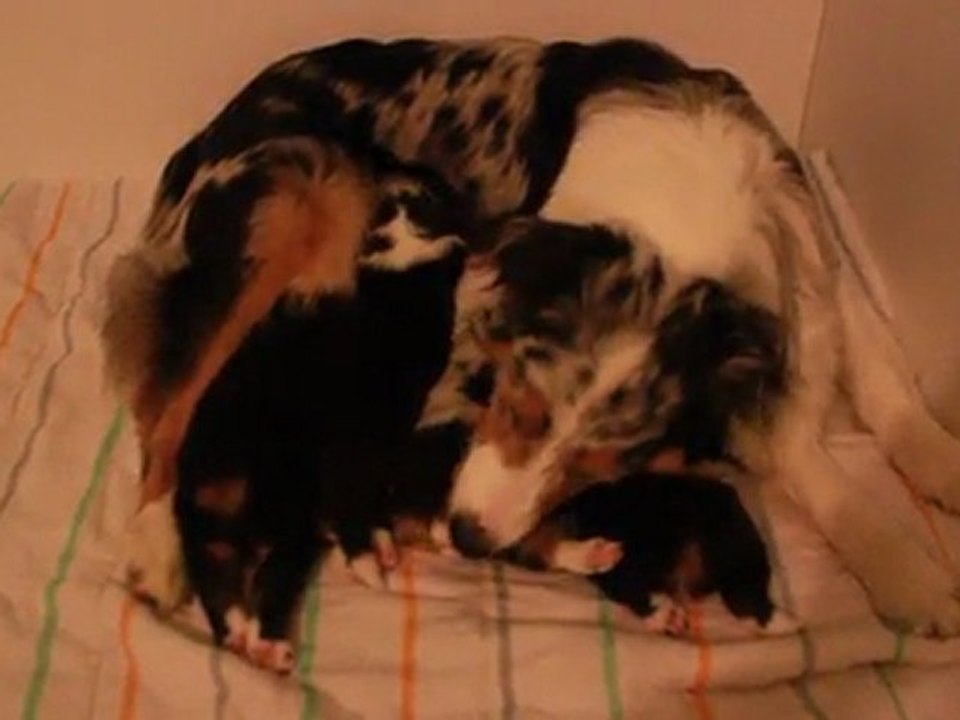 bébés Djune 3 semaines