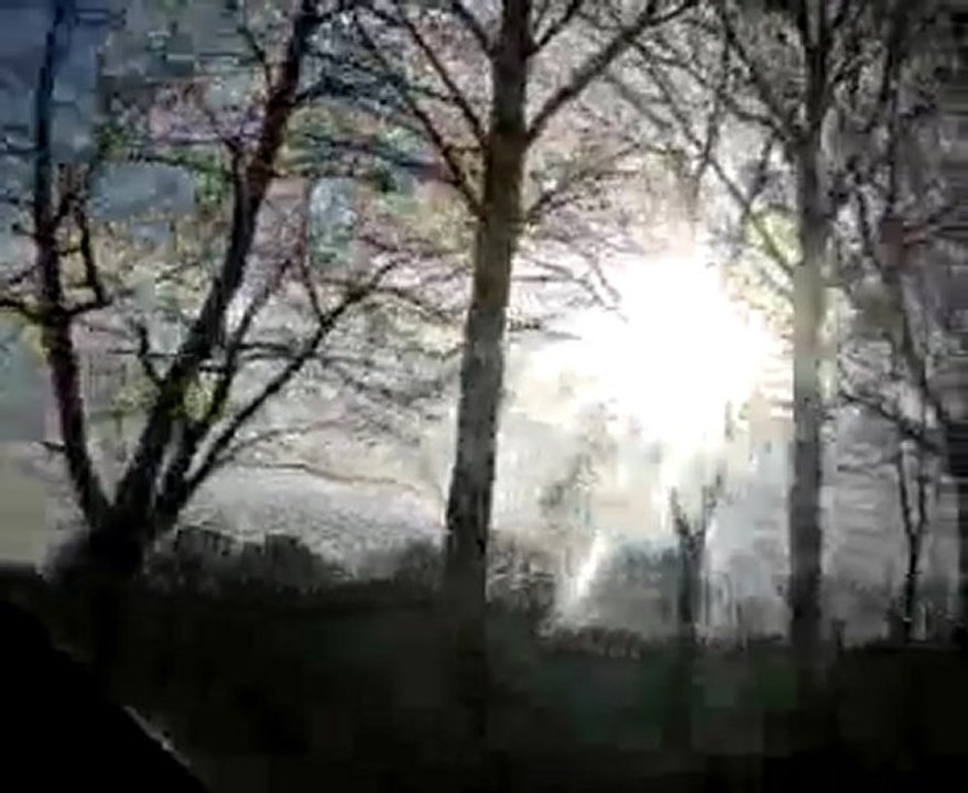 nibiru a honfleur le 15 03 2011