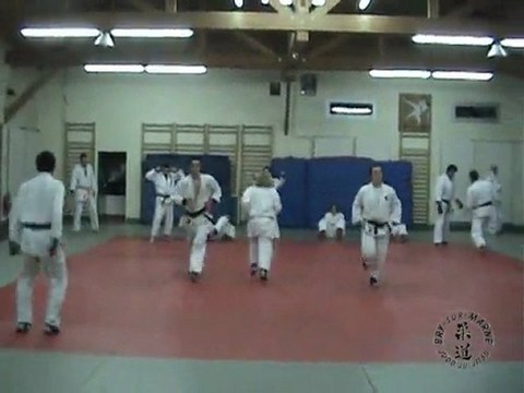 Le Ju-Jitsu à Bry sur Marne 2010-2011