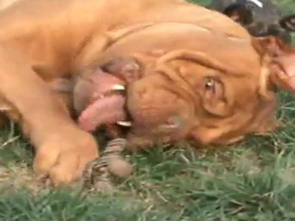 Tara & Giorgia qui jouent