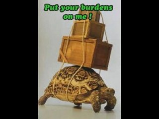 college class heroes(masters edition(extended cut)