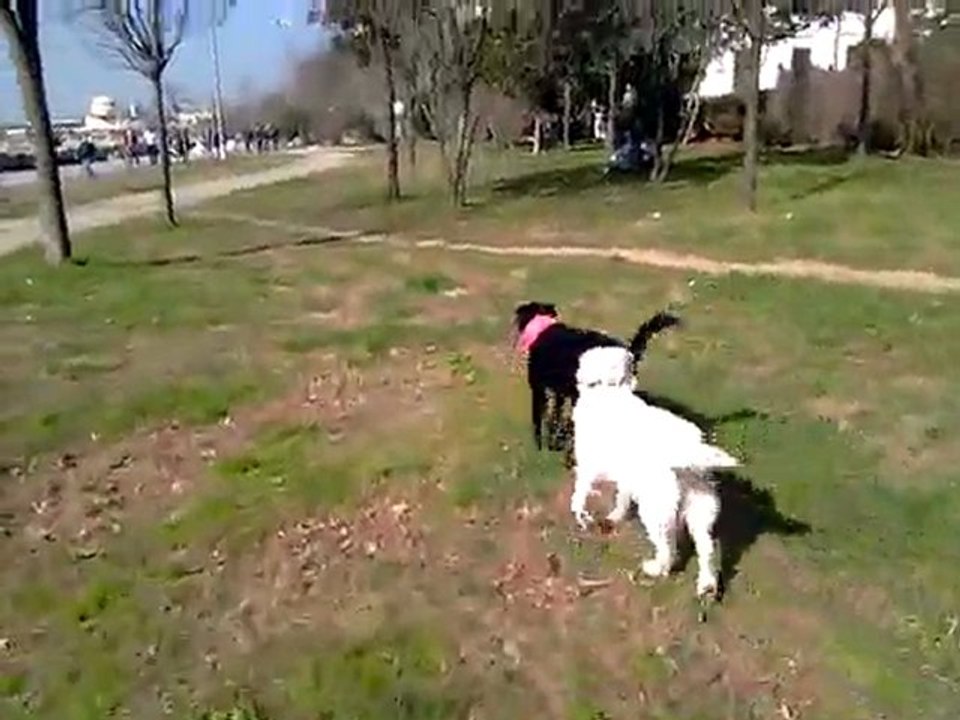 Mathilda ve daisy