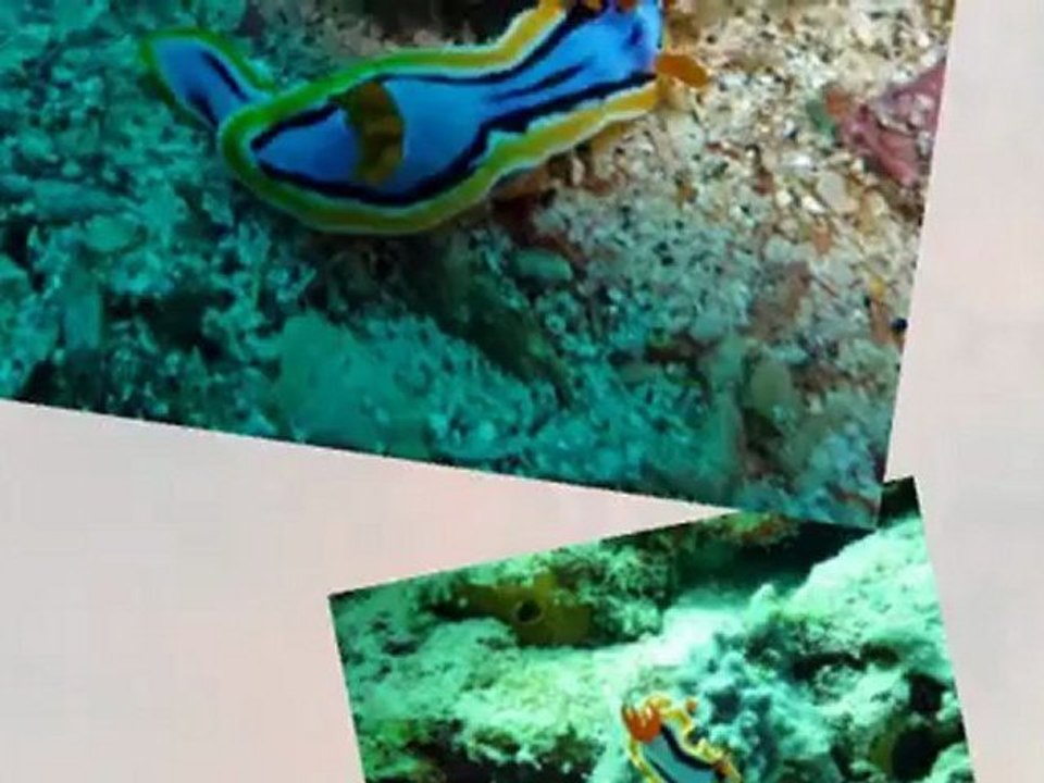 Bali, l'ïle des Dieux