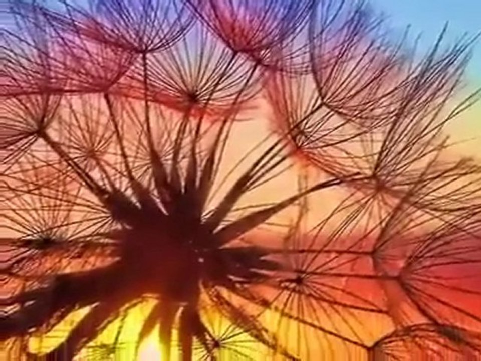 ARANJUEZ / RODRIGO CONCERTO - DANIEL LICARI