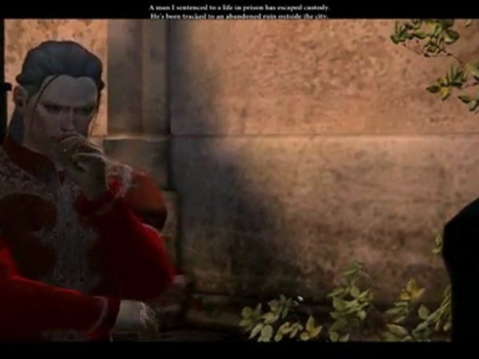 Dragon Age 2 Companions Bethany and Carver