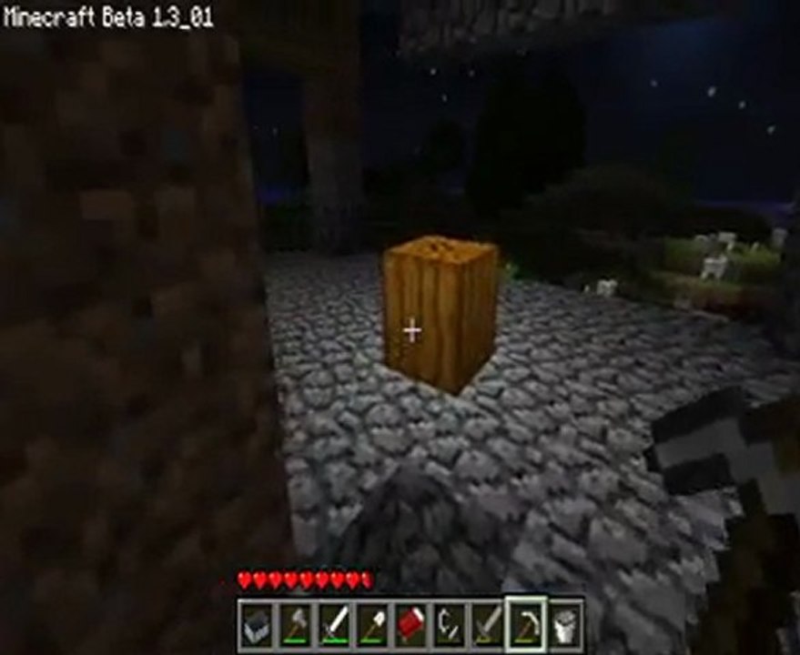 minecraft visite