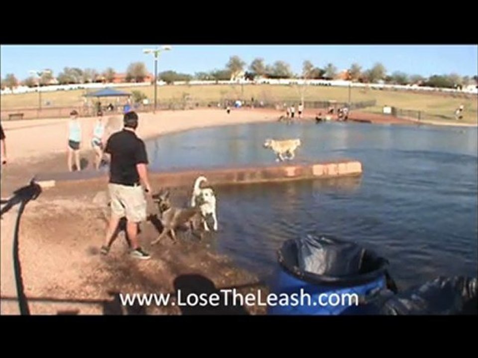 LOSE THE LEASH Dog Training Gilbert Arizona COSMO PARK