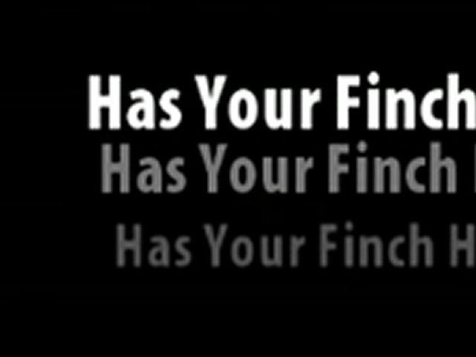 Finches Information Video