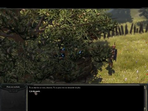Divinity2 - Puit aux souhaits - rire