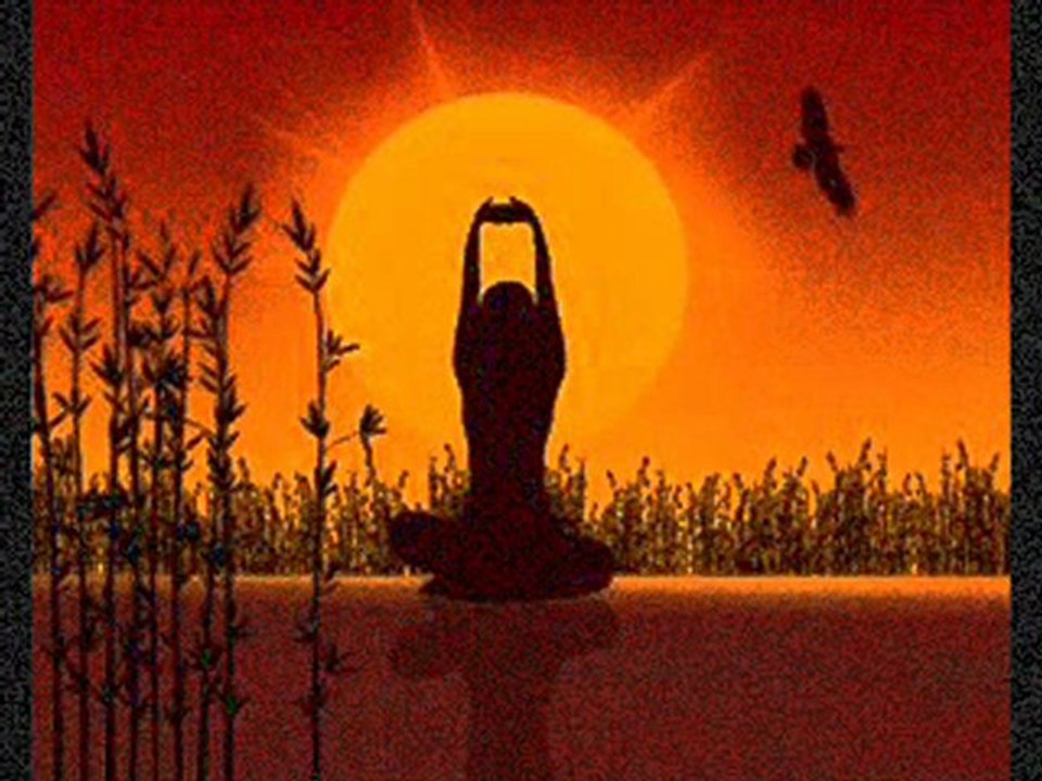 Momentum Coaching & Yoga