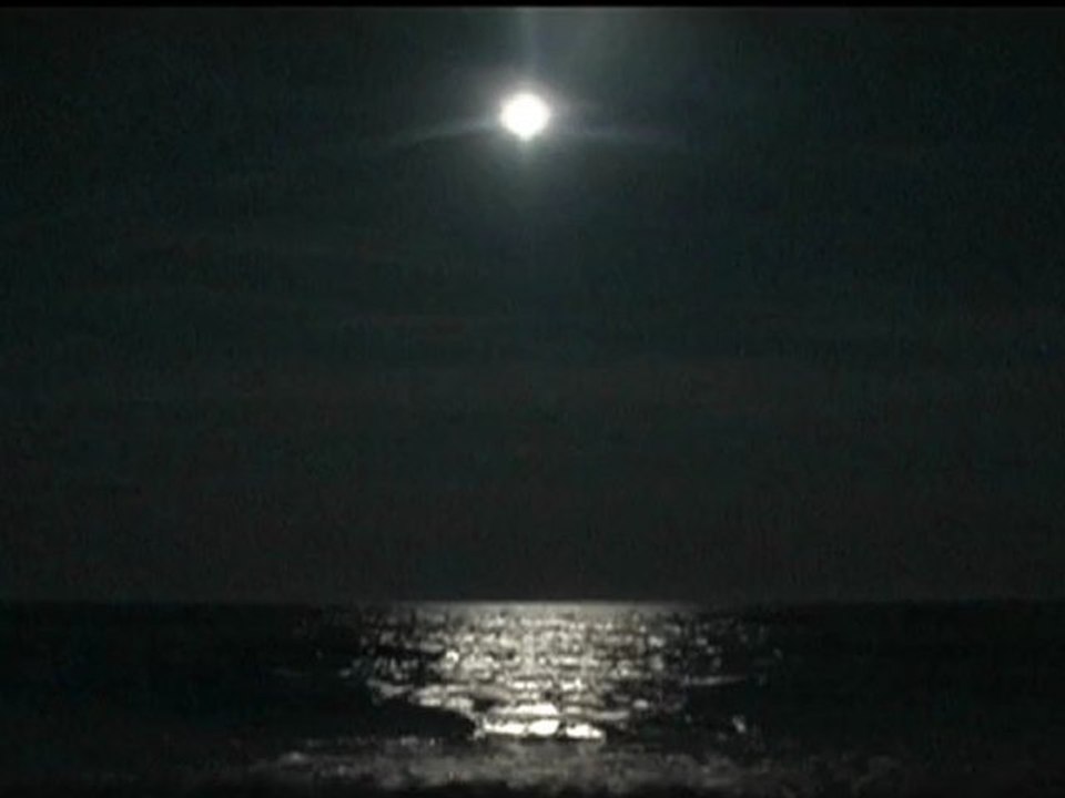 Blanc Faces - Falling From The Moon