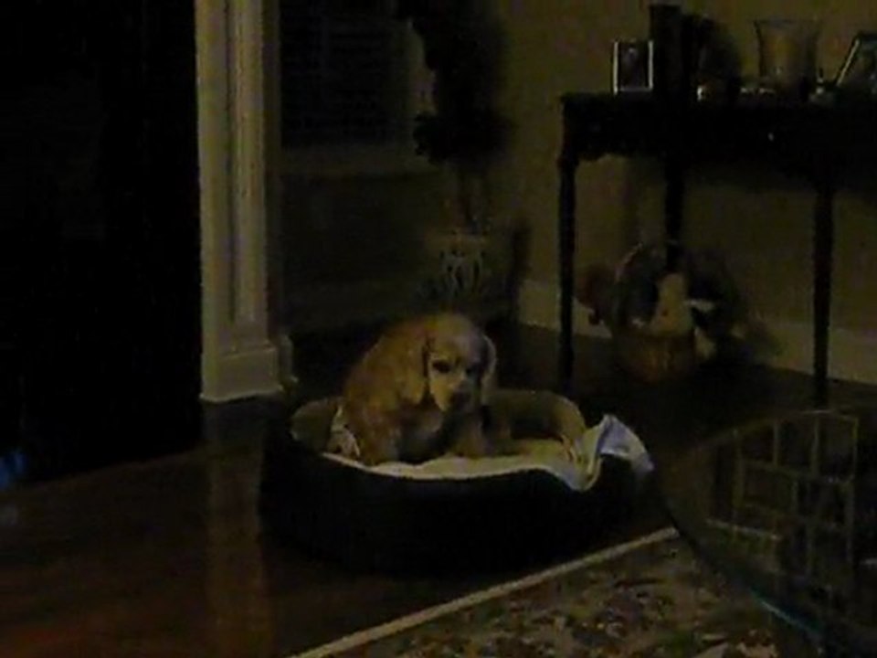 Cody getting ready for bed