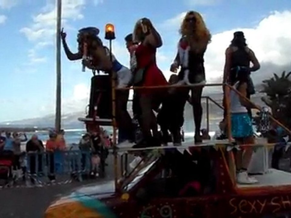 carnaval 2011 (2)