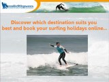 Discover Various Surf Camps