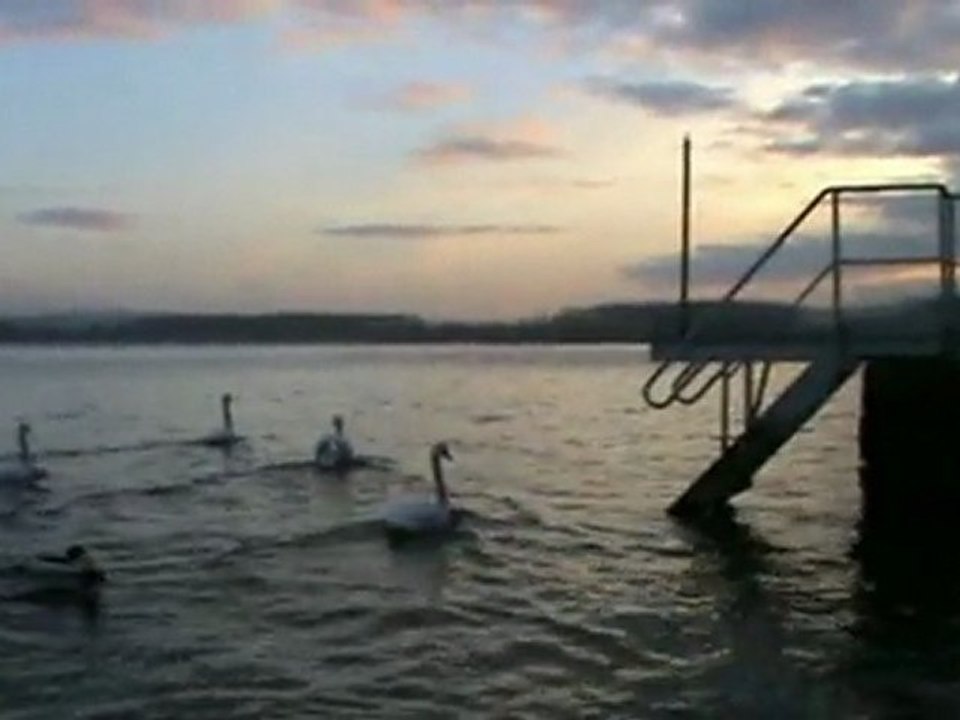 Ma libèrté de penser Révolution . By Rapunion2012,