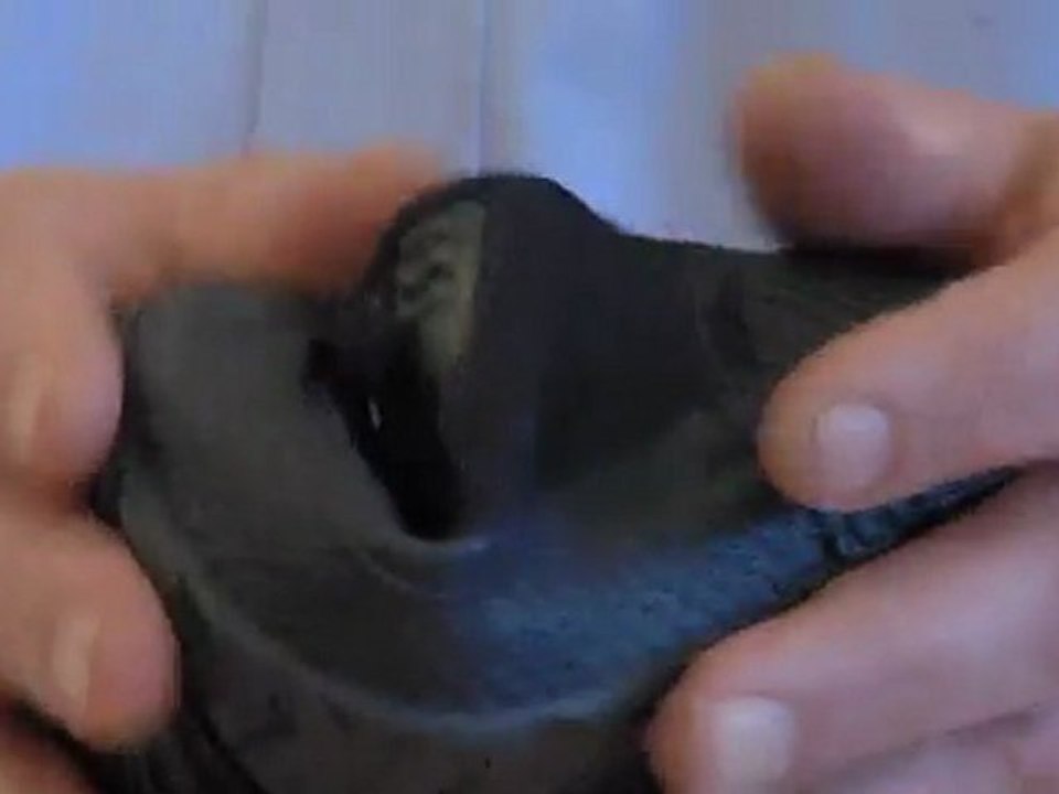 Trendiger Freizeit Sneaker - CAT Cohort Canvas