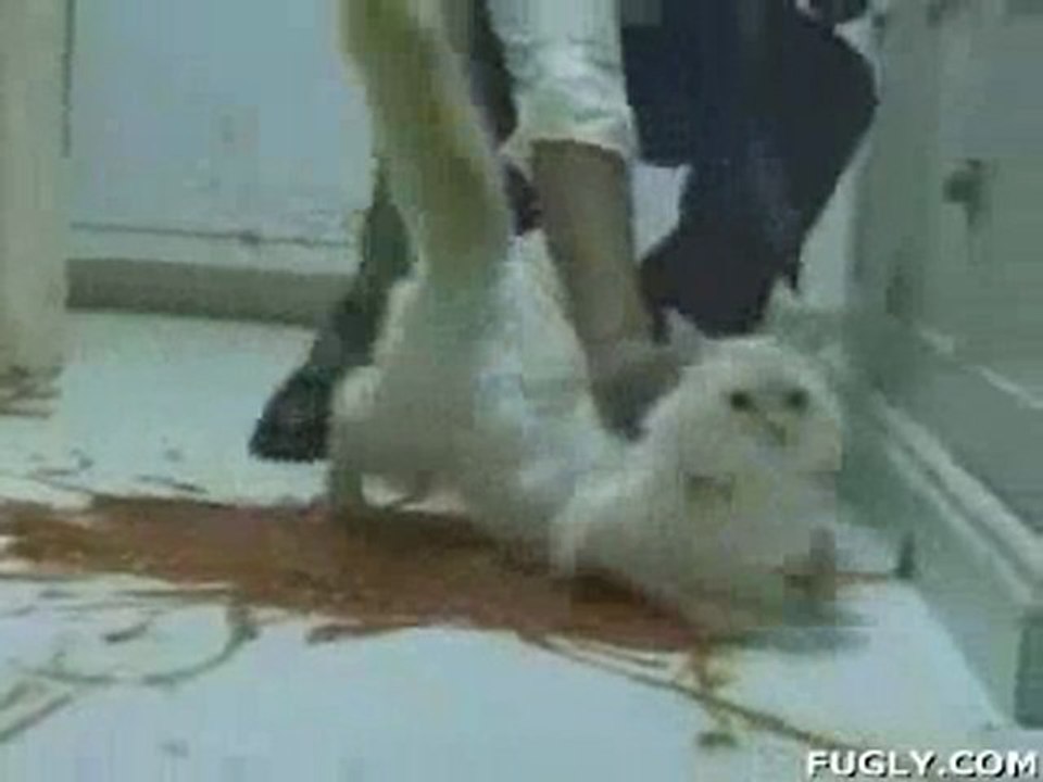 Dont Judge too quickly kedili