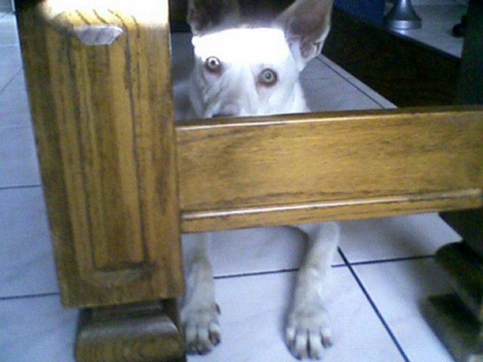 camping les roches cerfontaine