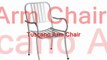 Modern Wicker Dining Chairs 96_0001