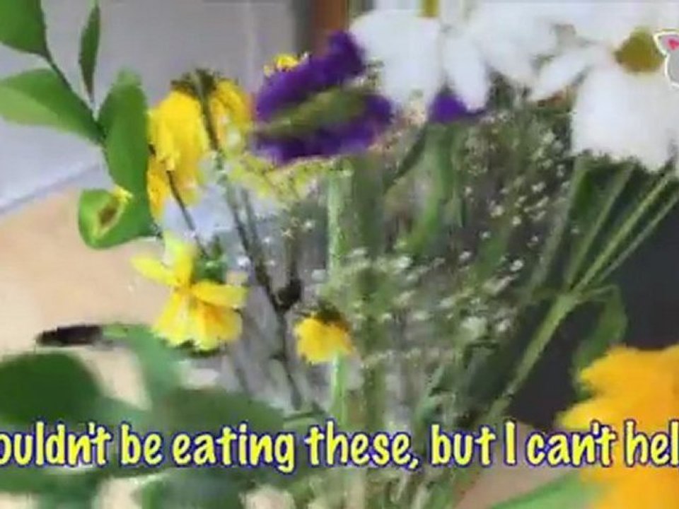 “Flower Power” : Ultra Fur