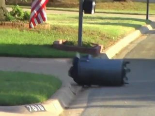 Patrick Stephens: Highway Stunts