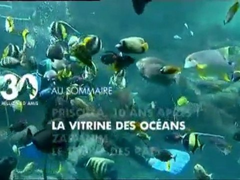 Sommaire émission 30 millions d'amis 20 03 2011