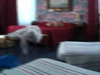 Présentation Hôtel de charme et Restaurant "Slow-Food" La Baule