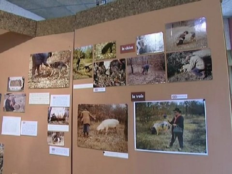 Maison de la truffe à Sorges - Périgord blanc