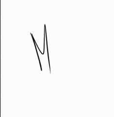 Animation - 1  Mouche