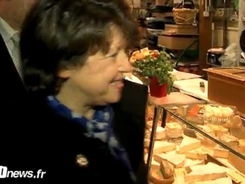 Cantonales martine aubry à sannois