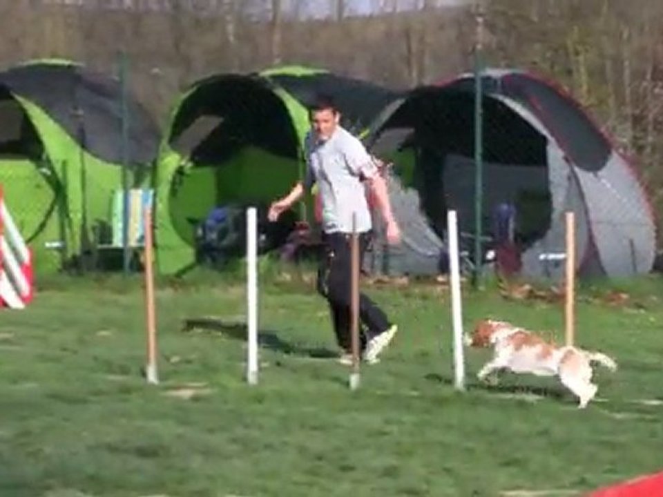 Auch 13-3-2011