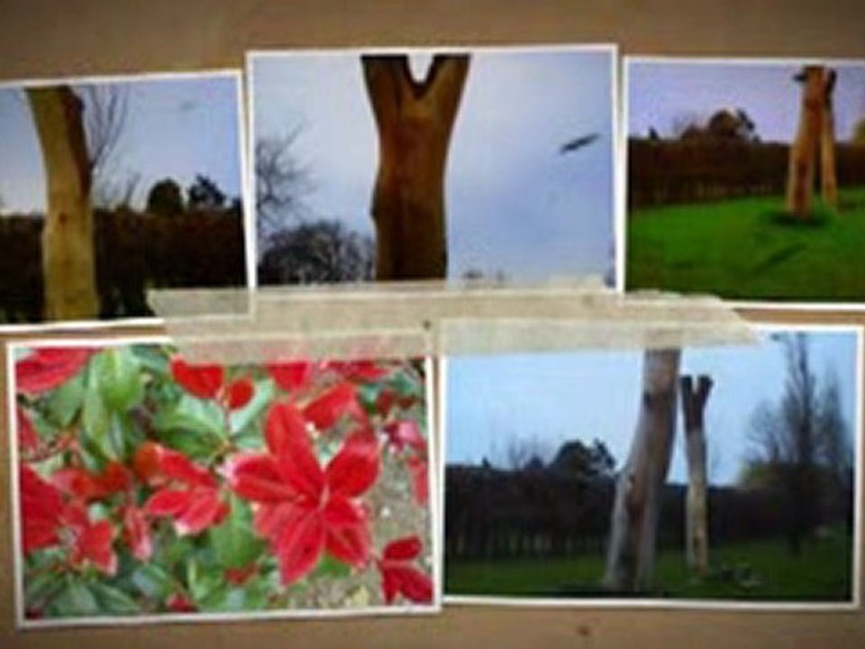 concert Rétina FRANCE ce 25 MARS 2011 AFFICHAGE