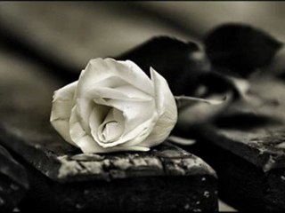 Turkce Rap... Fg [ Fatih Gül ] - Sevginin Peşinde