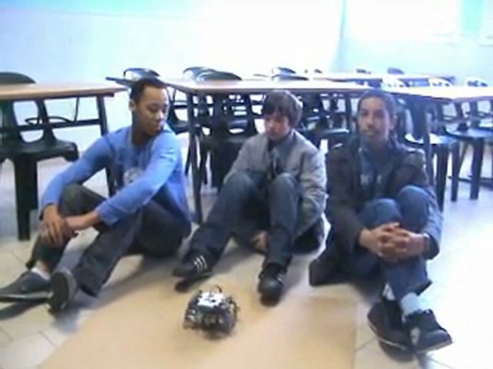 Anirobots
