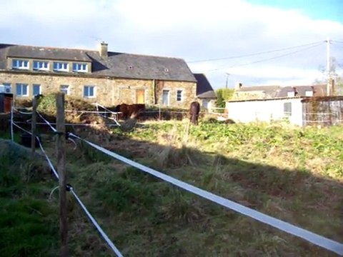 chevaux 17 mars 2011 03