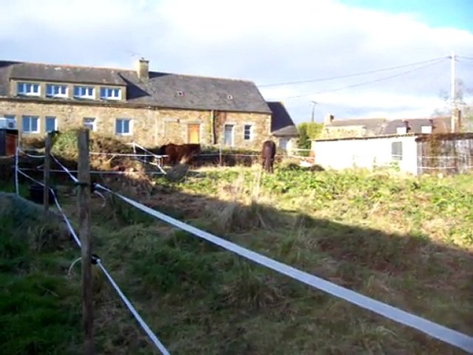 chevaux 17 mars 2011 03