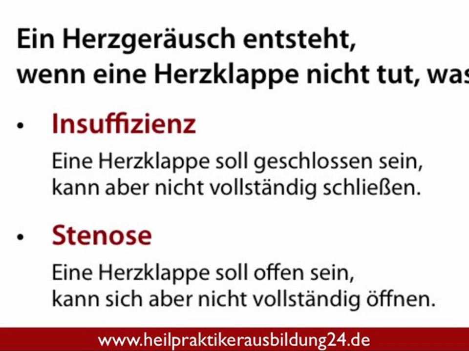 Das Herz mit seinen Herztönen und Herzgeräuschen