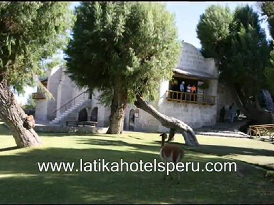 hotels - latika adventures
